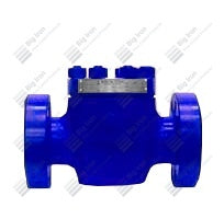 Check Valve, Type R, 3-1/8" 5M, EE, P+U, PSL1, PR1, NM